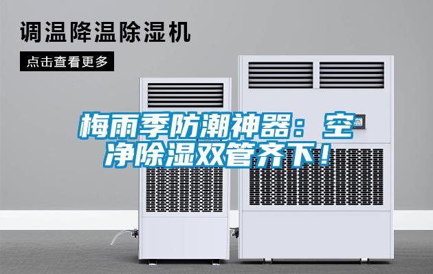 梅雨季防潮神器：空净除湿双管齐下！