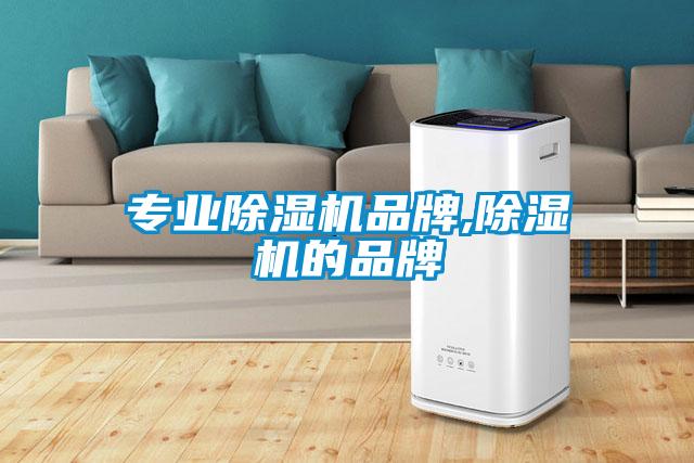 专业除湿机品牌,除湿机的品牌