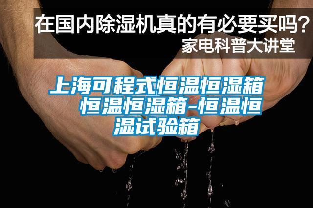 上海可程式恒温恒湿箱  恒温恒湿箱-恒温恒湿试验箱