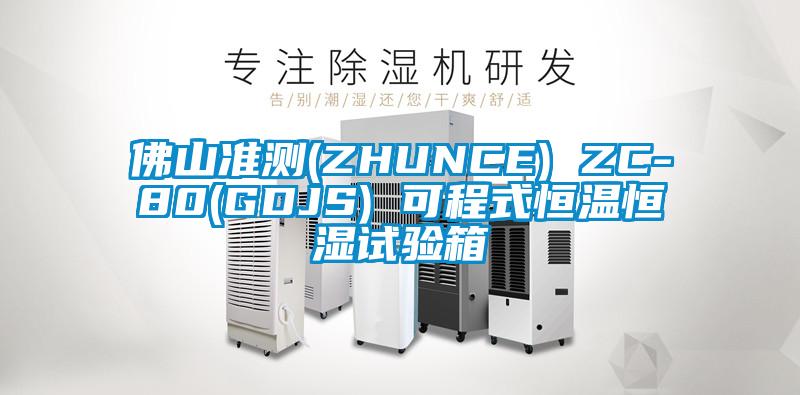 佛山准测(ZHUNCE) ZC-80(GDJS) 可程式恒温恒湿试验箱