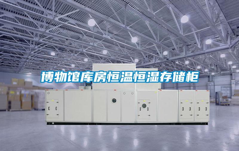博物馆库房恒温恒湿存储柜