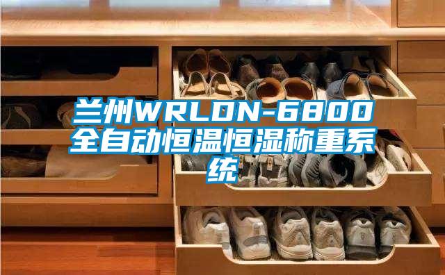 兰州WRLDN-6800全自动恒温恒湿称重系统