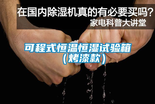 可程式恒温恒湿试验箱（烤漆款）