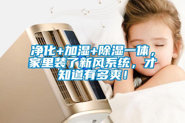 净化+加湿+除湿一体，家里装了新风系统，才知道有多爽！