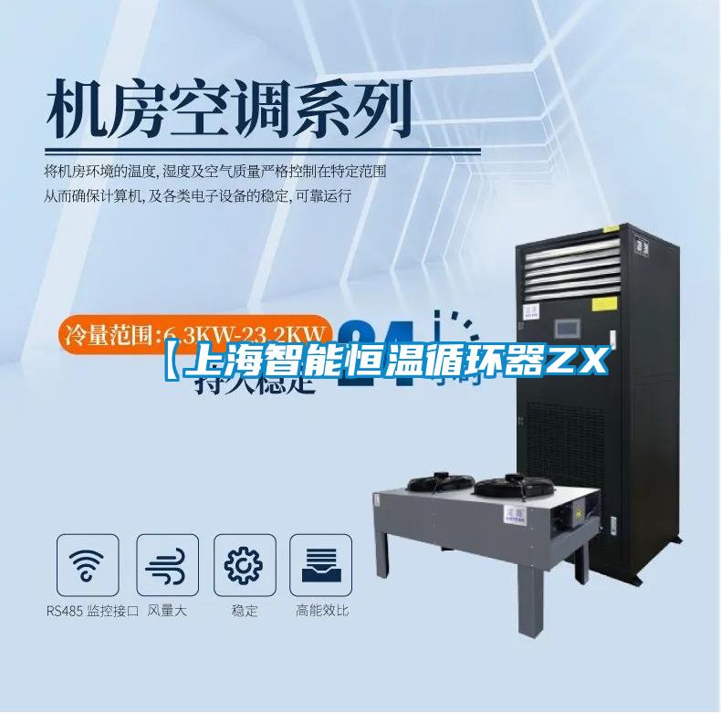 【上海智能恒温循环器ZX