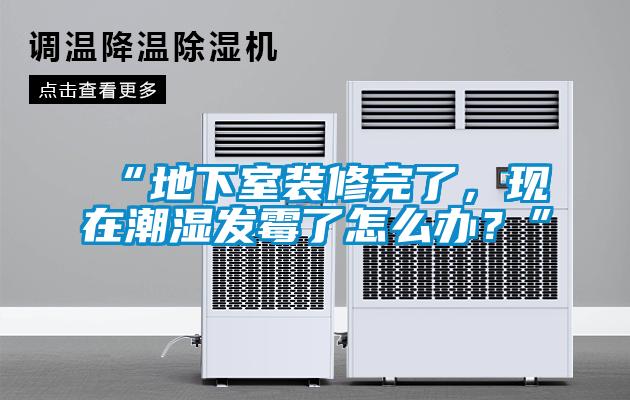 “地下室装修完了，现在潮湿发霉了怎么办？”