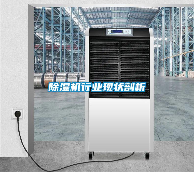 除湿机行业现状剖析