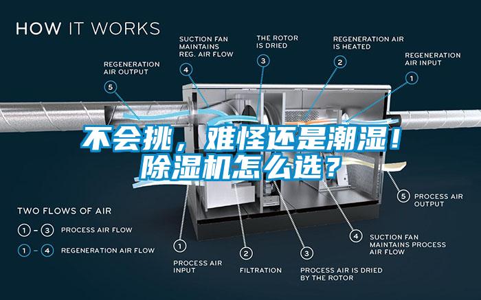 不会挑，难怪还是潮湿！除湿机怎么选？
