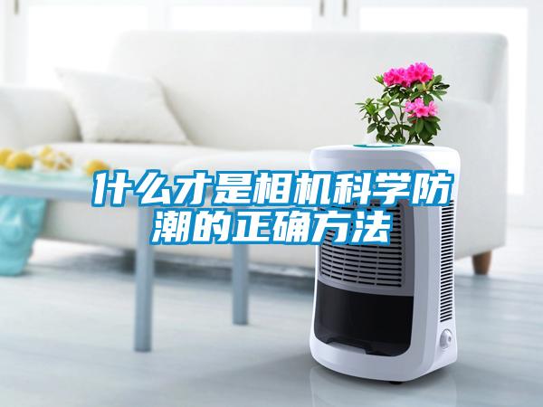 什么才是相机科学防潮的正确方法