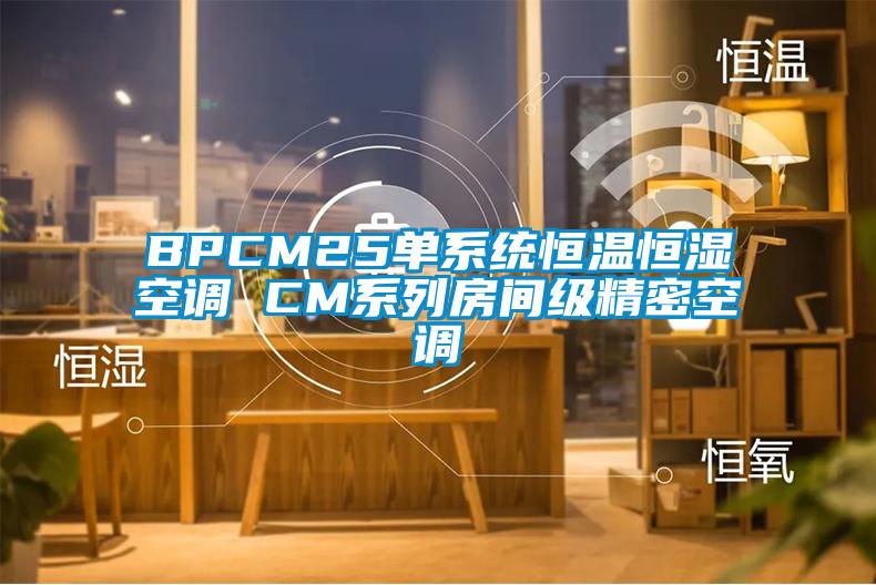 BPCM25单系统恒温恒湿空调 CM系列房间级精密空调