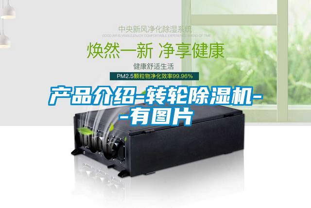 产品介绍-转轮除湿机--有图片