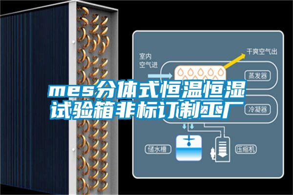 mes分体式恒温恒湿试验箱非标订制工厂