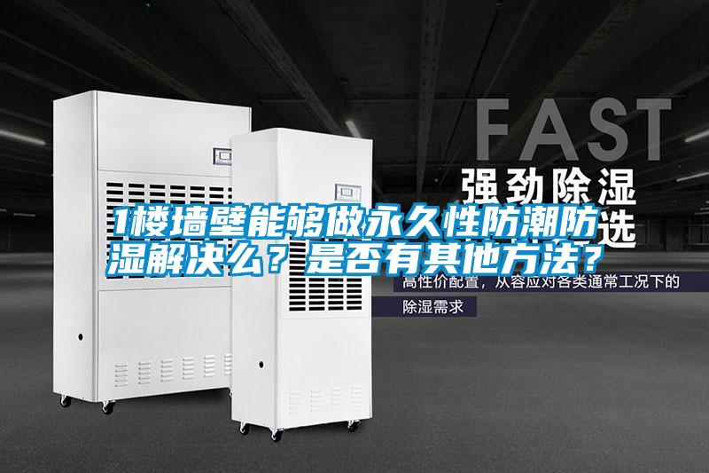 1楼墙壁能够做永久性防潮防湿解决么？是否有其他方法？