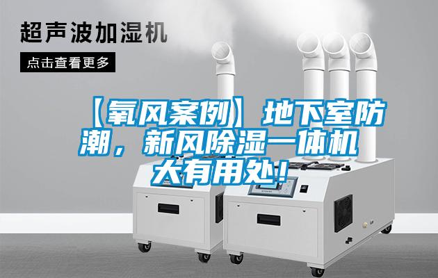 【氧风案例】地下室防潮，新风除湿一体机大有用处！