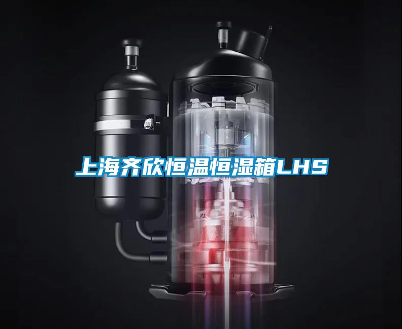上海齐欣恒温恒湿箱LHS