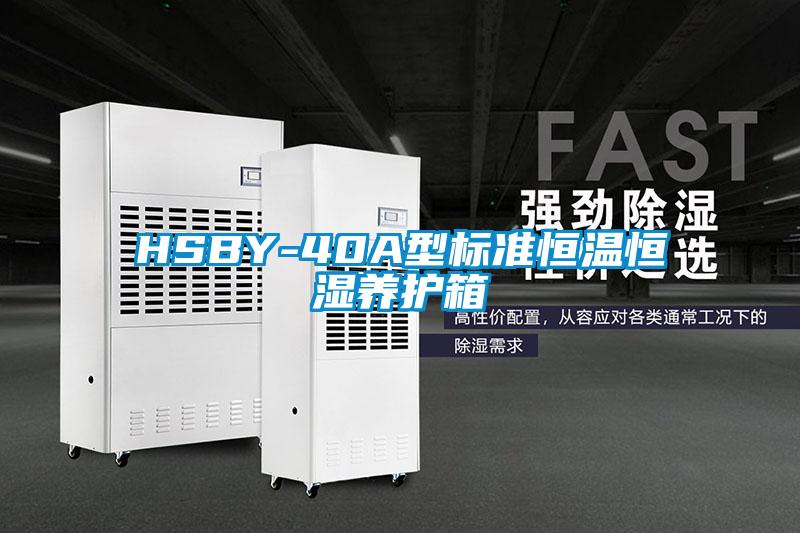 HSBY-40A型标准恒温恒湿养护箱