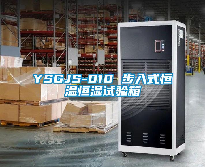 YSGJS-010 步入式恒温恒湿试验箱