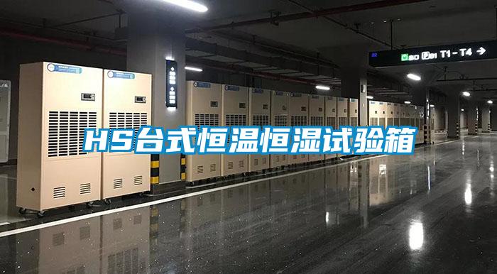 HS台式恒温恒湿试验箱