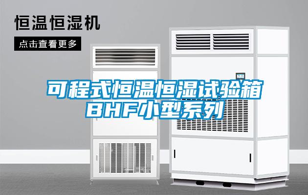 可程式恒温恒湿试验箱BHF小型系列