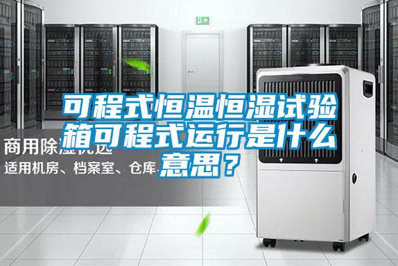 可程式恒温恒湿试验箱可程式运行是什么意思？