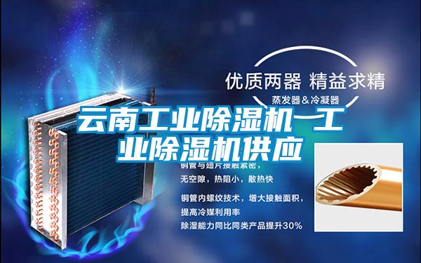 云南工业除湿机 工业除湿机供应