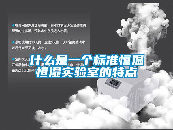 什么是一个标准恒温恒湿实验室的特点