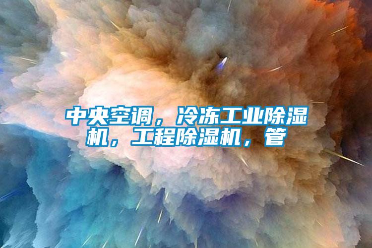 中央空调，冷冻工业除湿机，工程除湿机，管