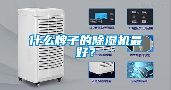 什么牌子的除湿机最好？