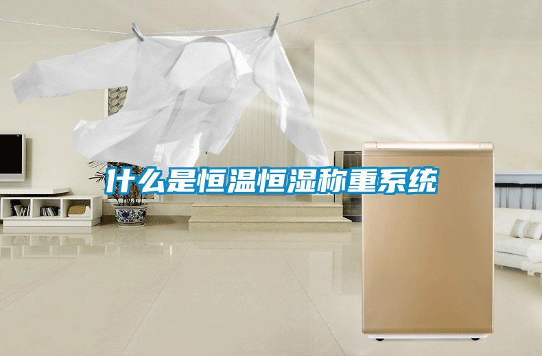 什么是恒温恒湿称重系统