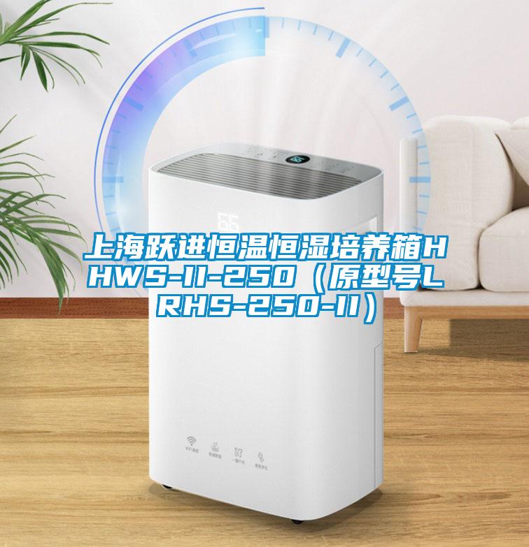 上海跃进恒温恒湿培养箱HHWS-II-250（原型号LRHS-250-II）