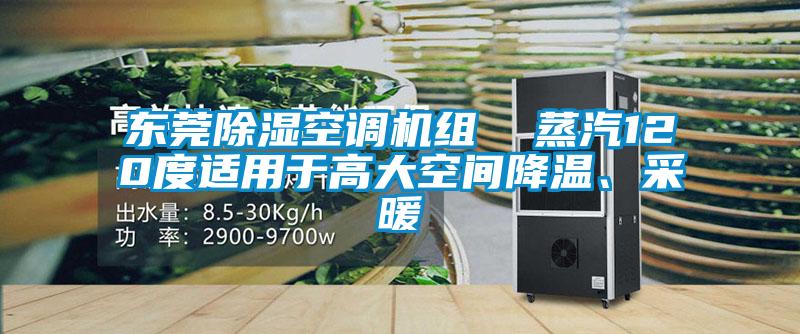 东莞除湿空调机组  蒸汽120度适用于高大空间降温、采暖