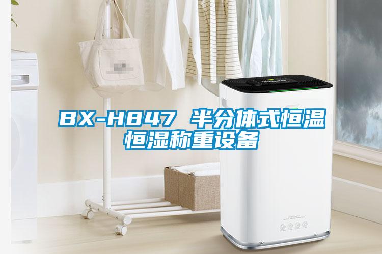 BX-H847 半分体式恒温恒湿称重设备