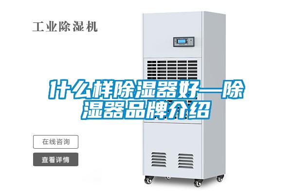 什么样除湿器好—除湿器品牌介绍