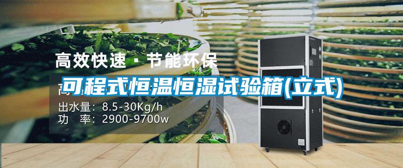 可程式恒温恒湿试验箱(立式)