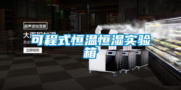 可程式恒温恒湿实验箱