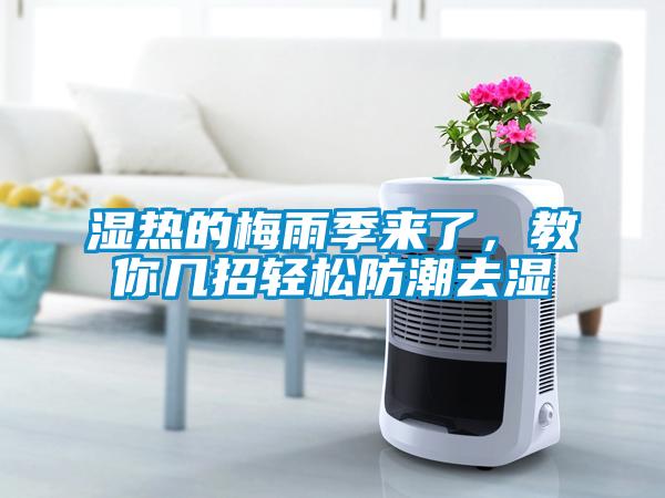 湿热的梅雨季来了，教你几招轻松防潮去湿