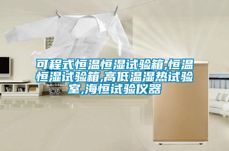 可程式恒温恒湿试验箱,恒温恒湿试验箱,高低温湿热试验室,海恒试验仪器