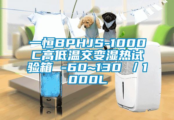 一恒BPHJS-1000C高低温交变湿热试验箱 -60~130℃／1000L