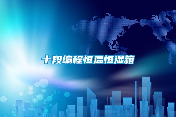 十段编程恒温恒湿箱