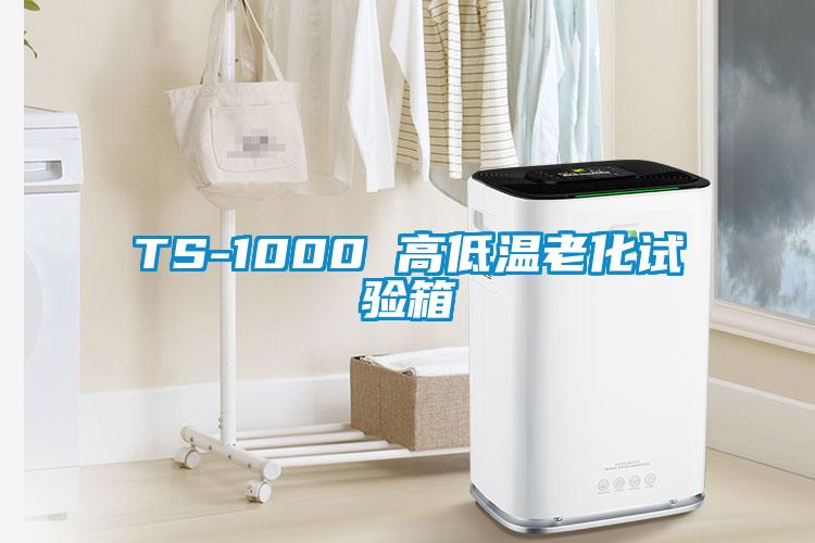 TS-1000 高低温老化试验箱
