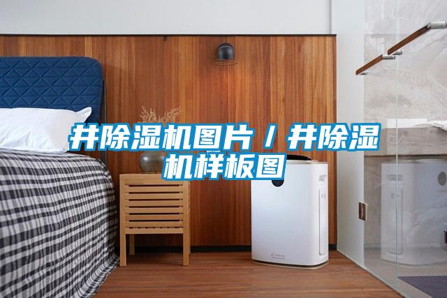 井除湿机图片／井除湿机样板图