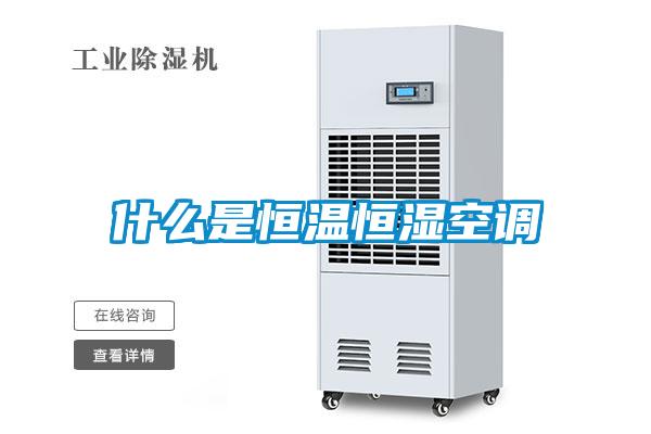 什么是恒温恒湿空调