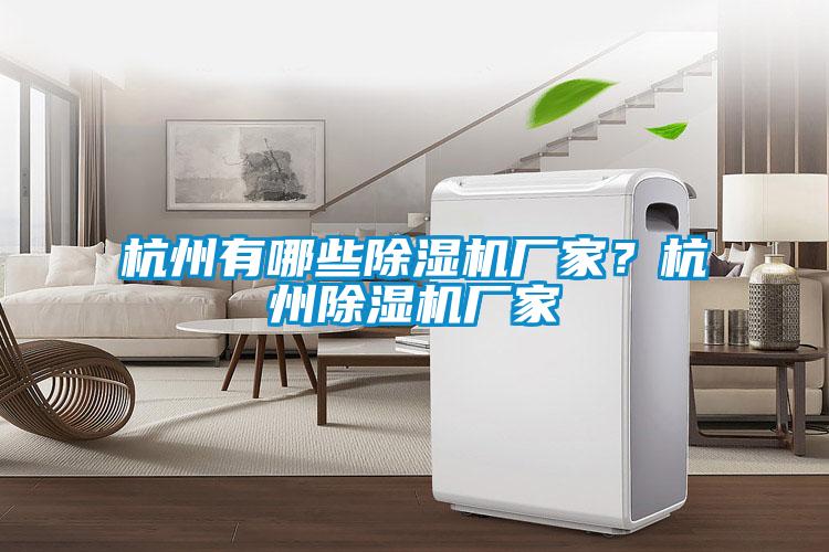 杭州有哪些除湿机厂家？杭州除湿机厂家