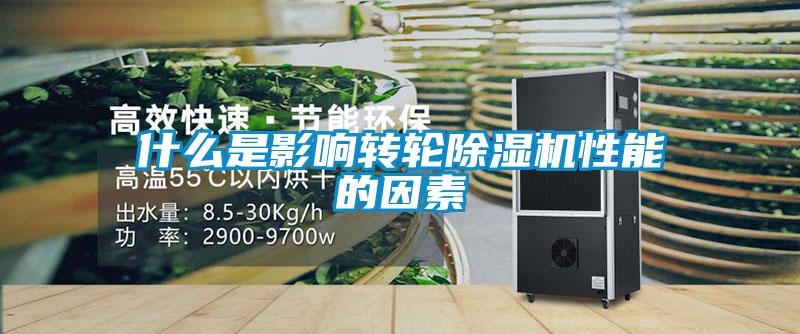 什么是影响转轮除湿机性能的因素