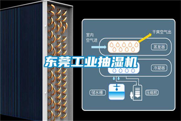 东莞工业抽湿机