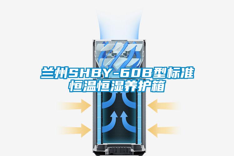 兰州SHBY-60B型标准恒温恒湿养护箱