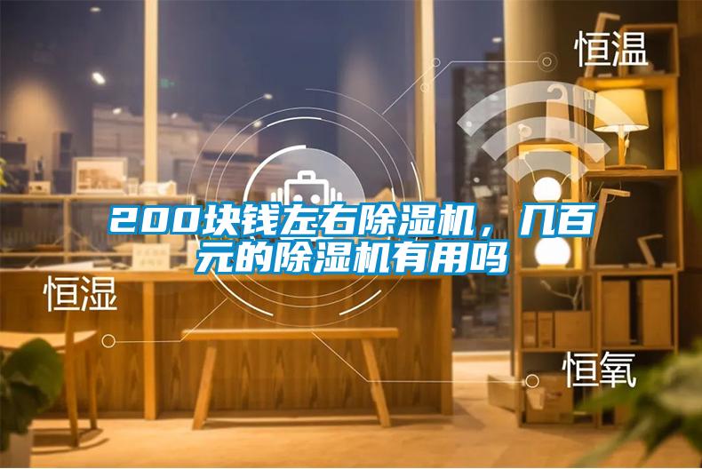 200块钱左右除湿机，几百元的除湿机有用吗