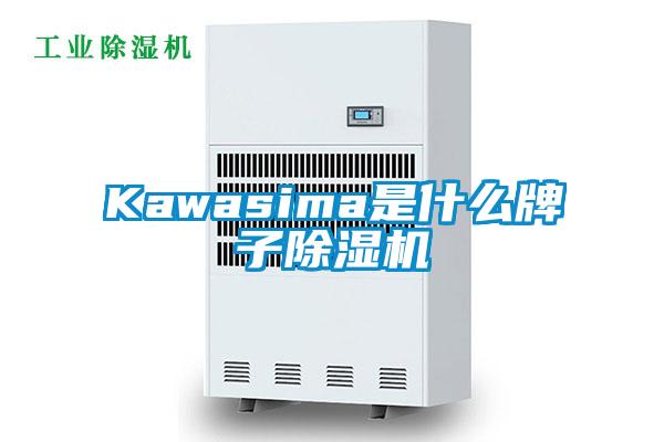 Kawasima是什么牌子除湿机