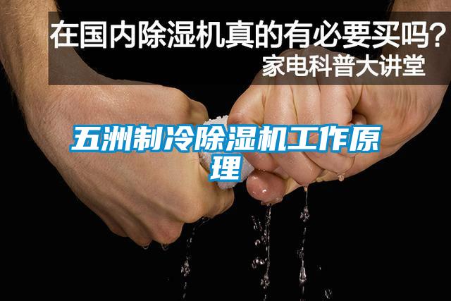 五洲制冷除湿机工作原理