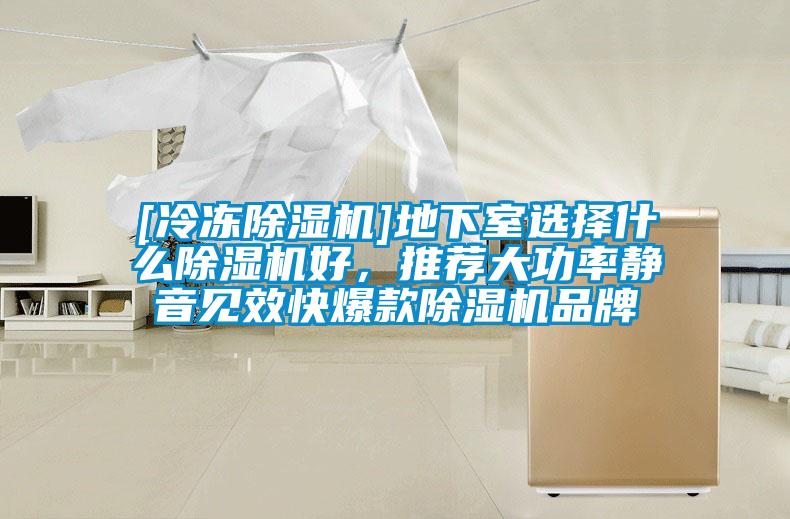 [冷冻除湿机]地下室选择什么除湿机好，推荐大功率静音见效快爆款除湿机品牌